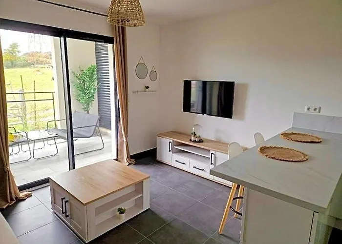 T2 Avec Terrasse Lejlighed Corte (Corsica)