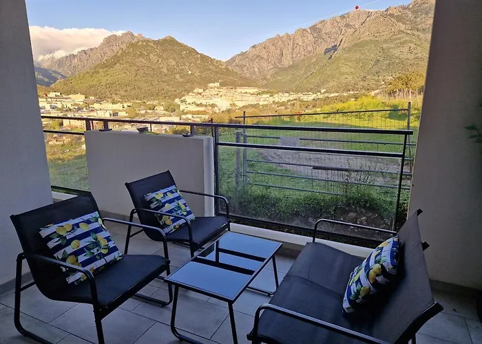 T2 Avec Terrasse